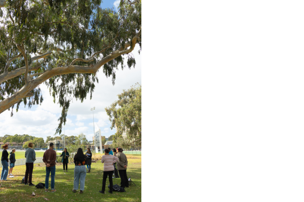 Fellows gathered under the red gum trees