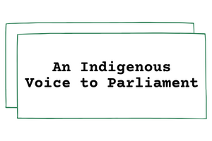An Indigenous Voice to Parliament